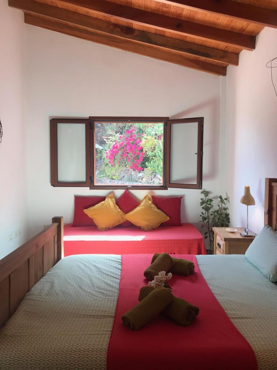 Maison d'hôtes Ecotara Canary Islands à Fátaga Extérieur photo