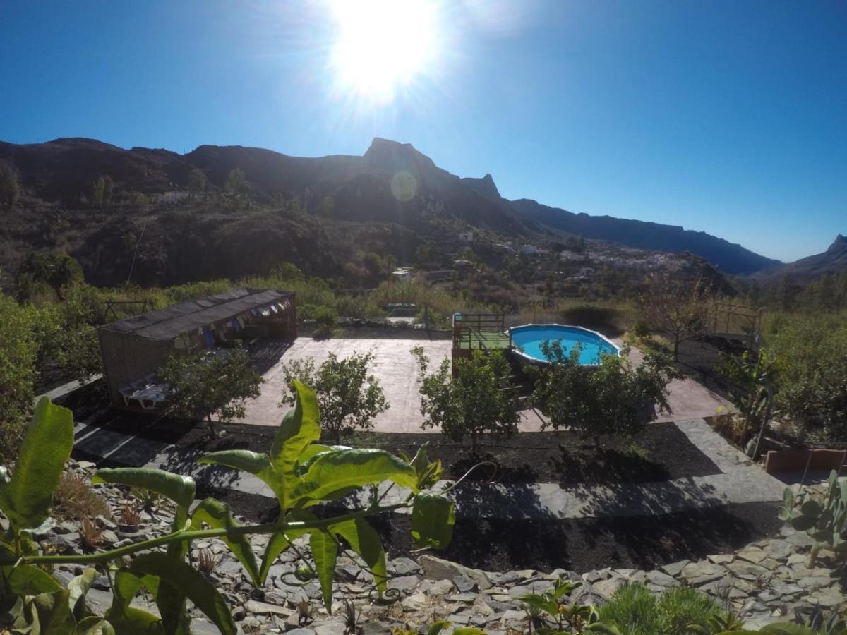 Maison d'hôtes Ecotara Canary Islands à Fátaga Extérieur photo